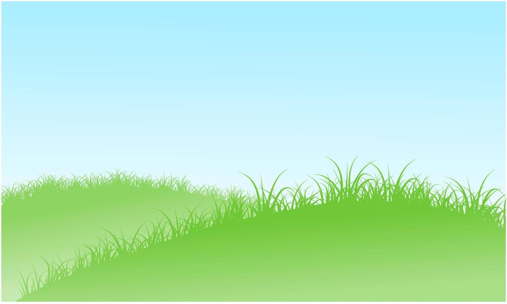 grass hill, grass field vector