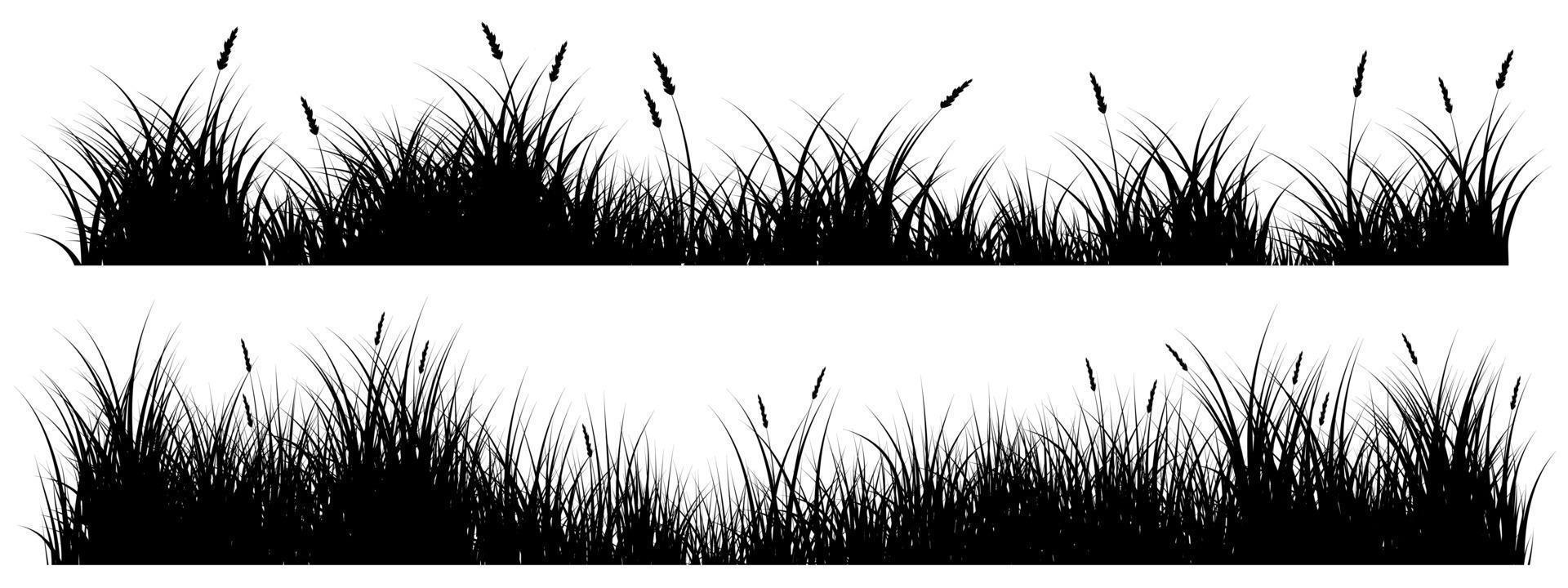 long grass vector