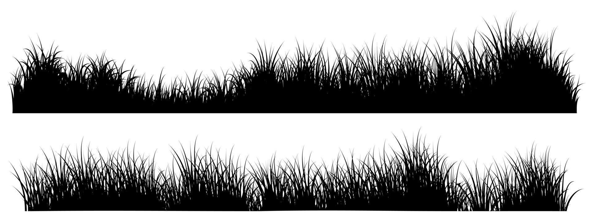 long grass vector free