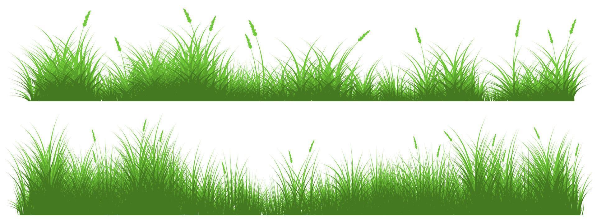 grass field, meadow vector