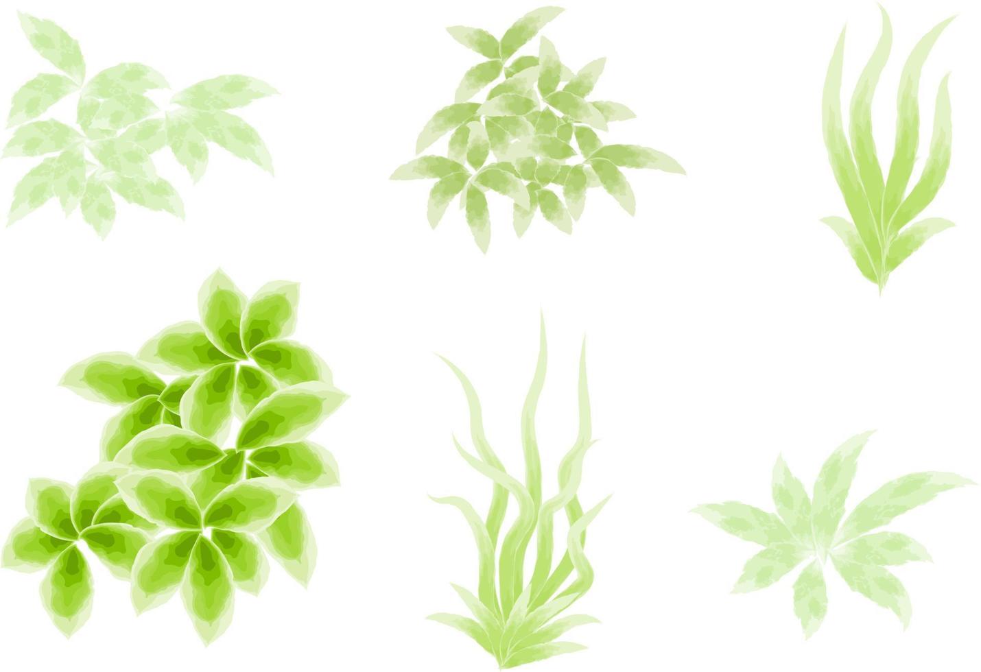 watercolor bush, watercolor leaves vector