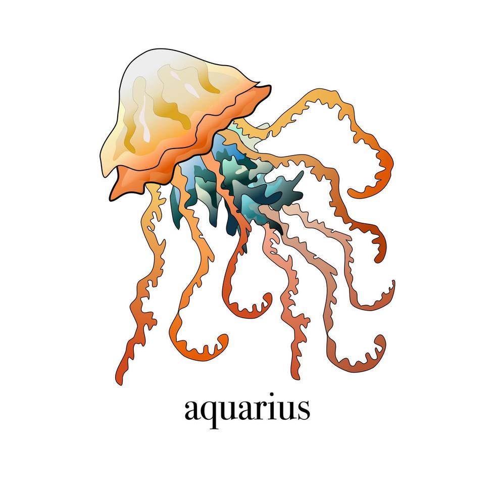 Modern magic card with Aquarius astrology on a white background Vector illustration of jellyfish floating on the surface of the deep sea. Meduse Poster Template 8384695 Vector Art at Vecteezy Modern magic card with Aquarius astrology on a white background Vector illustration of jellyfish floating on the surface of the deep sea. Meduse Poster Template 8384695 Vector Art at Vecteezy