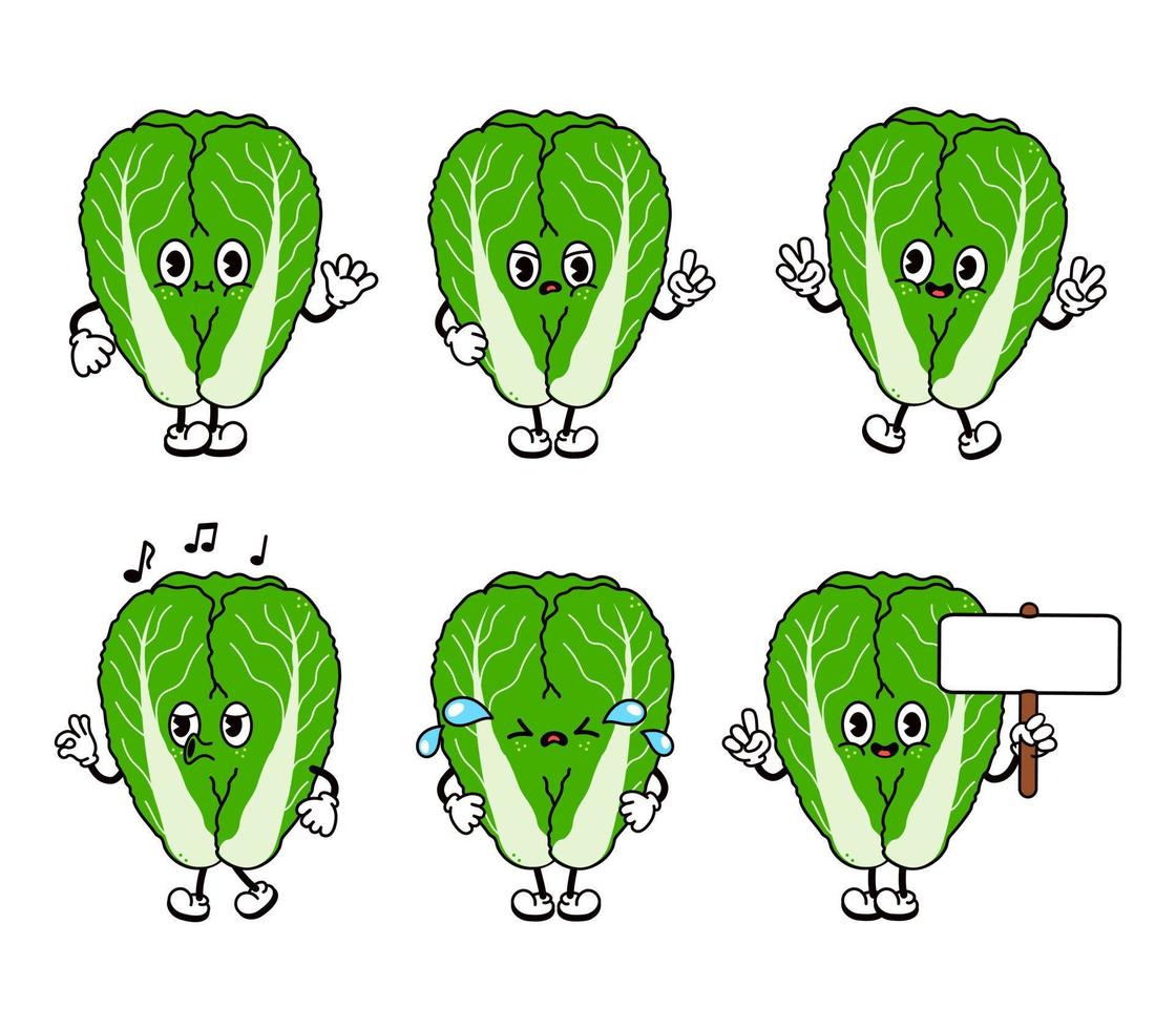 Funny cute Chinese cabbage characters bundle set. Vector hand drawn doodle style traditional cartoon vintage, retro character illustration icon design. Isolated white background. Happy cabbage mascot