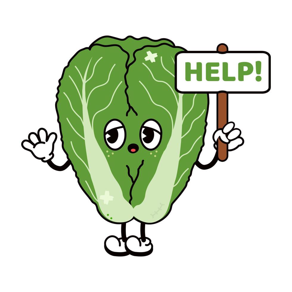 Sad suffering sick cute Chinese cabbage asks for help character. Vector flat cartoon illustration icon design. Isolated on white backgound. Suffering unhealthy Chinese cabbage character concept