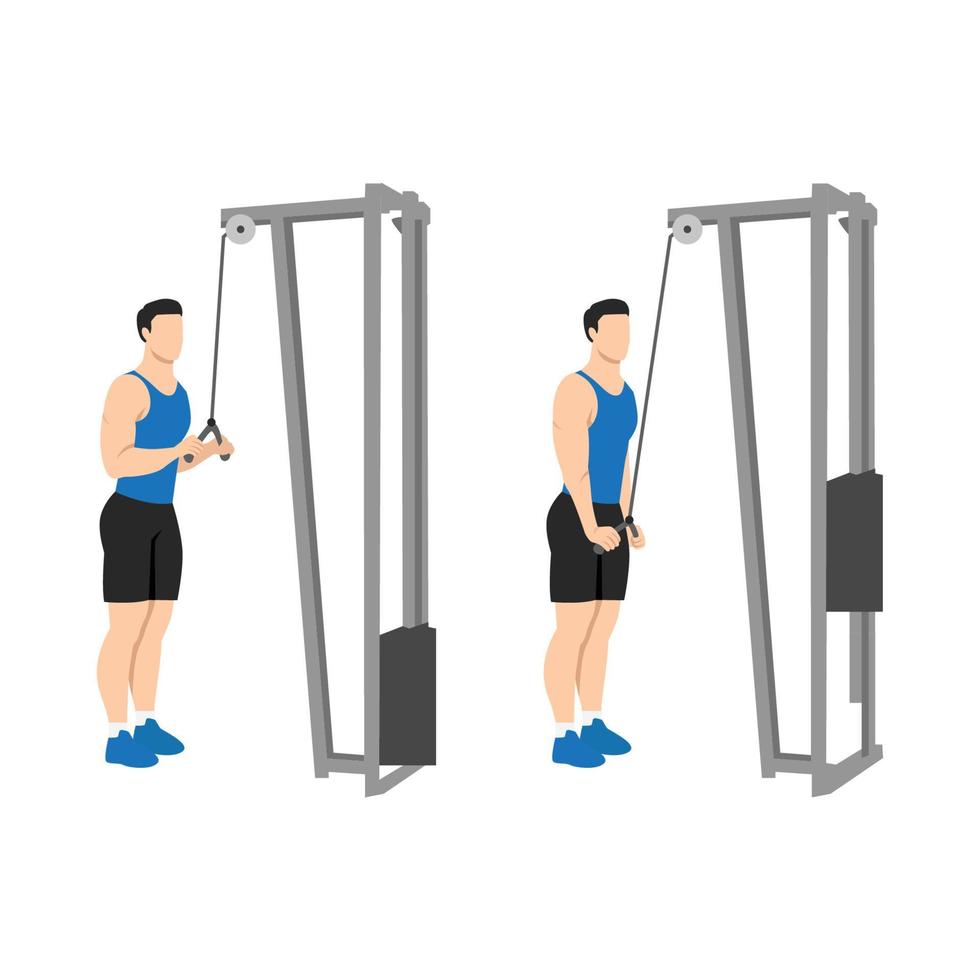 Backwards tricep extension hotsell