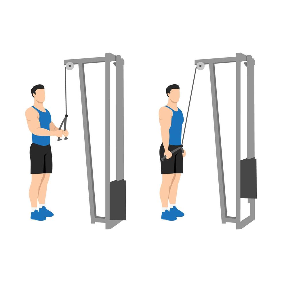 Man doing Cable rope pushdown exercise. Flat vector illustration isolated on white background