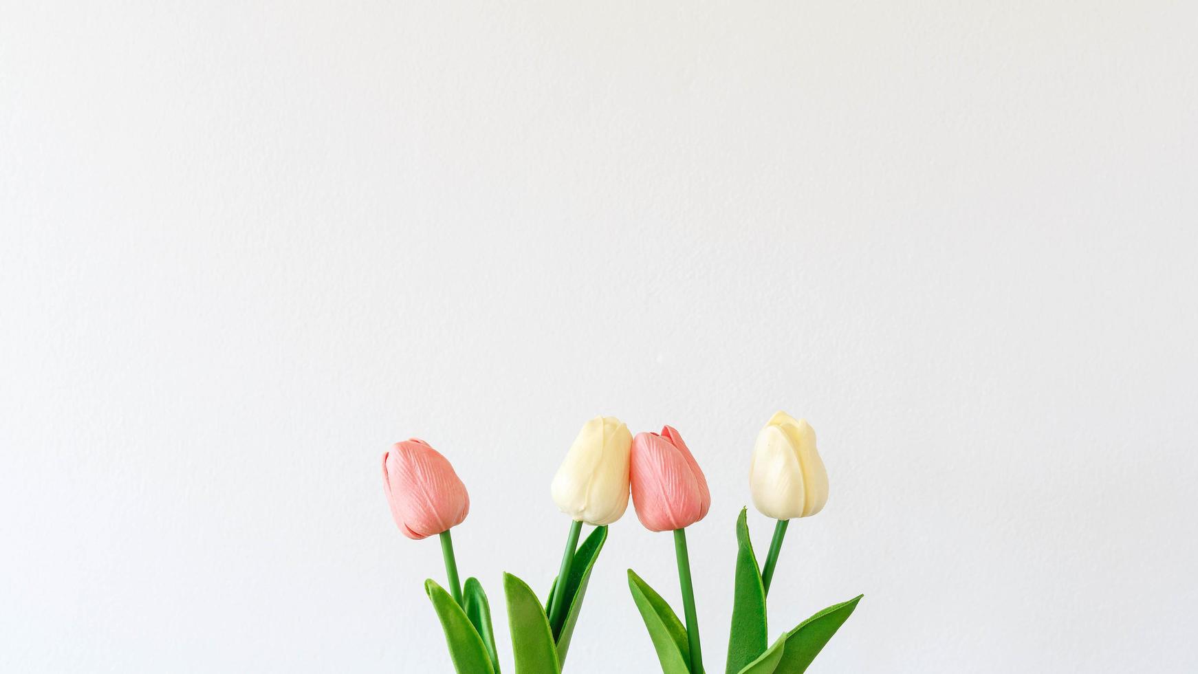 mockup of tulips flowers on a white background photo