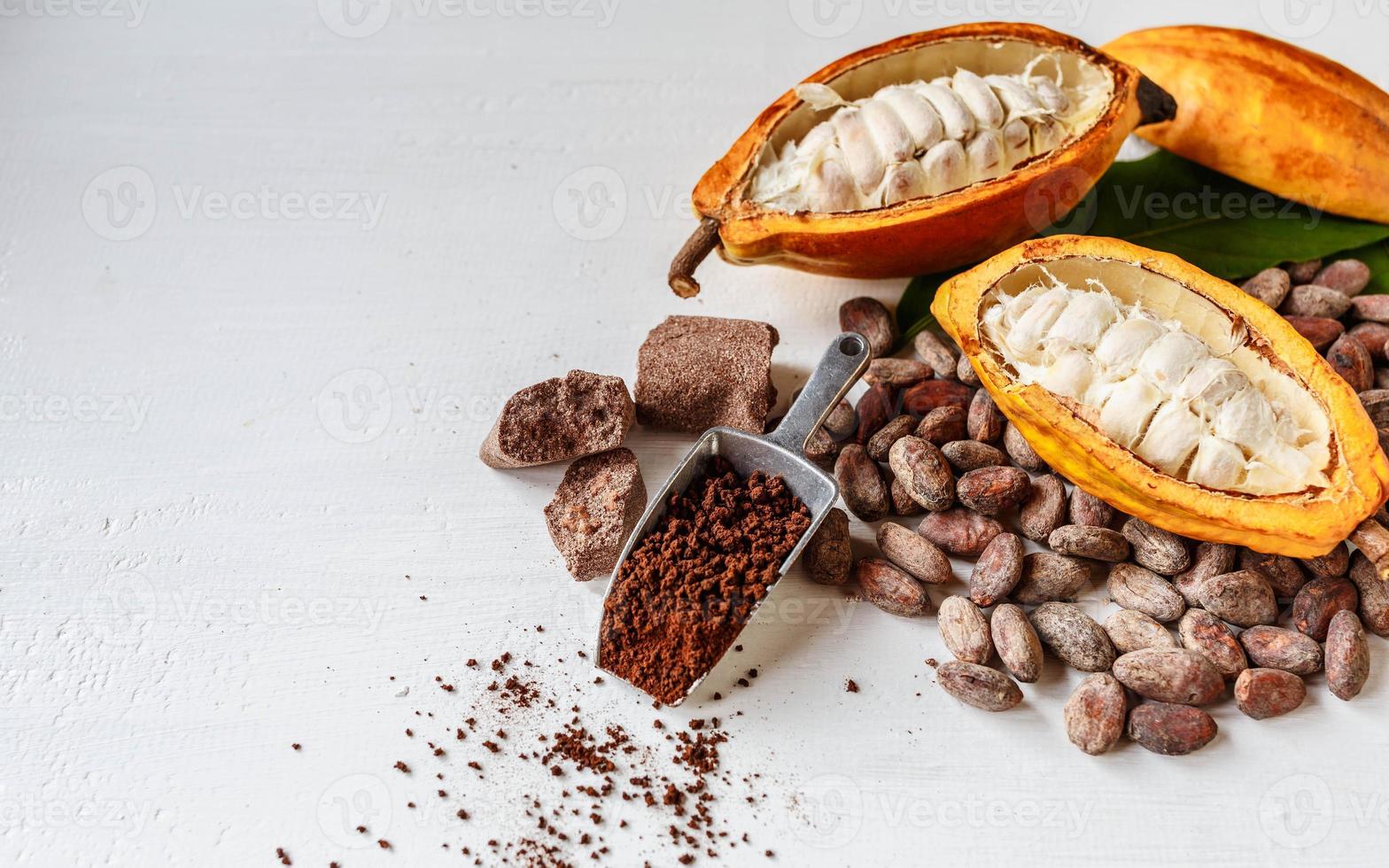 Half cacao pods with cacao fruit and brown cocoa    powder photo