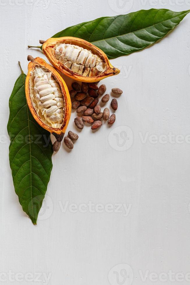 medias vainas de cacao y fruta de cacao con granos de cacao marrón foto