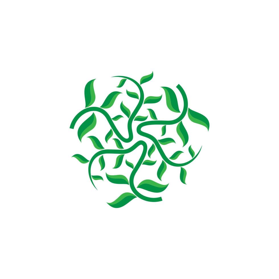 Green leaf logo. Leaf icon. Nature logo. Green leaf vector illustration.
