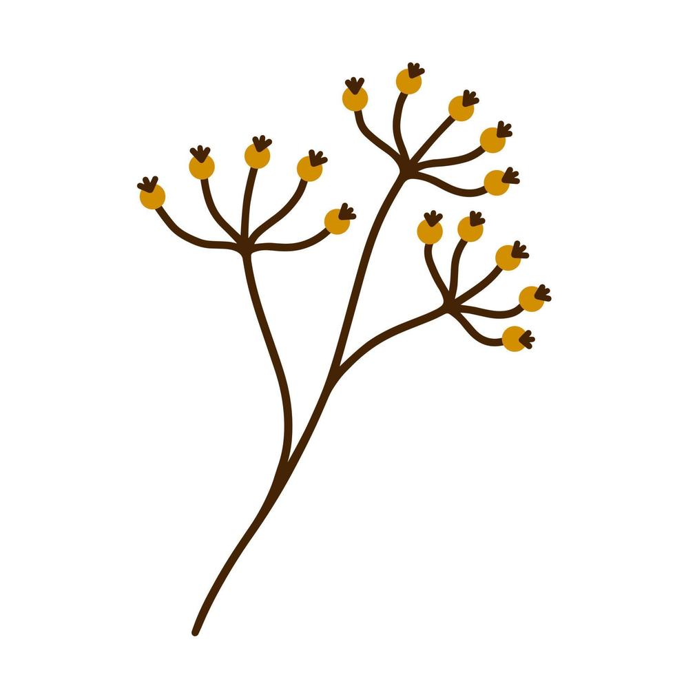 planta silvestre con icono de vector de bayas amarillas. inflorescencia con frutas frescas del jardín. clipart botánico dibujado a mano aislado en blanco. manojo de bayas de otoño en un tallo seco. estilo de dibujos animados plana