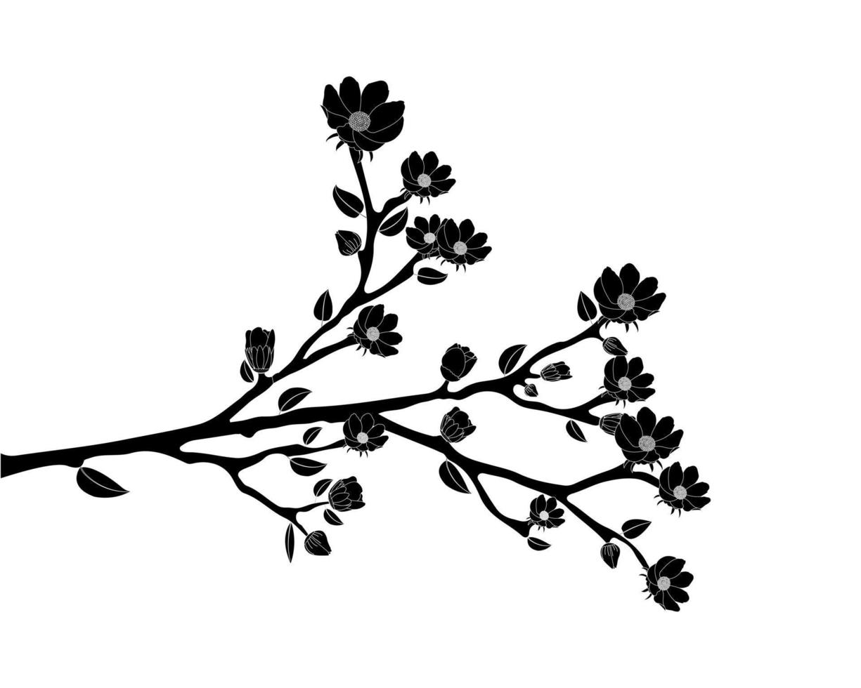 Branch black and white flower isolated on white background. vector
