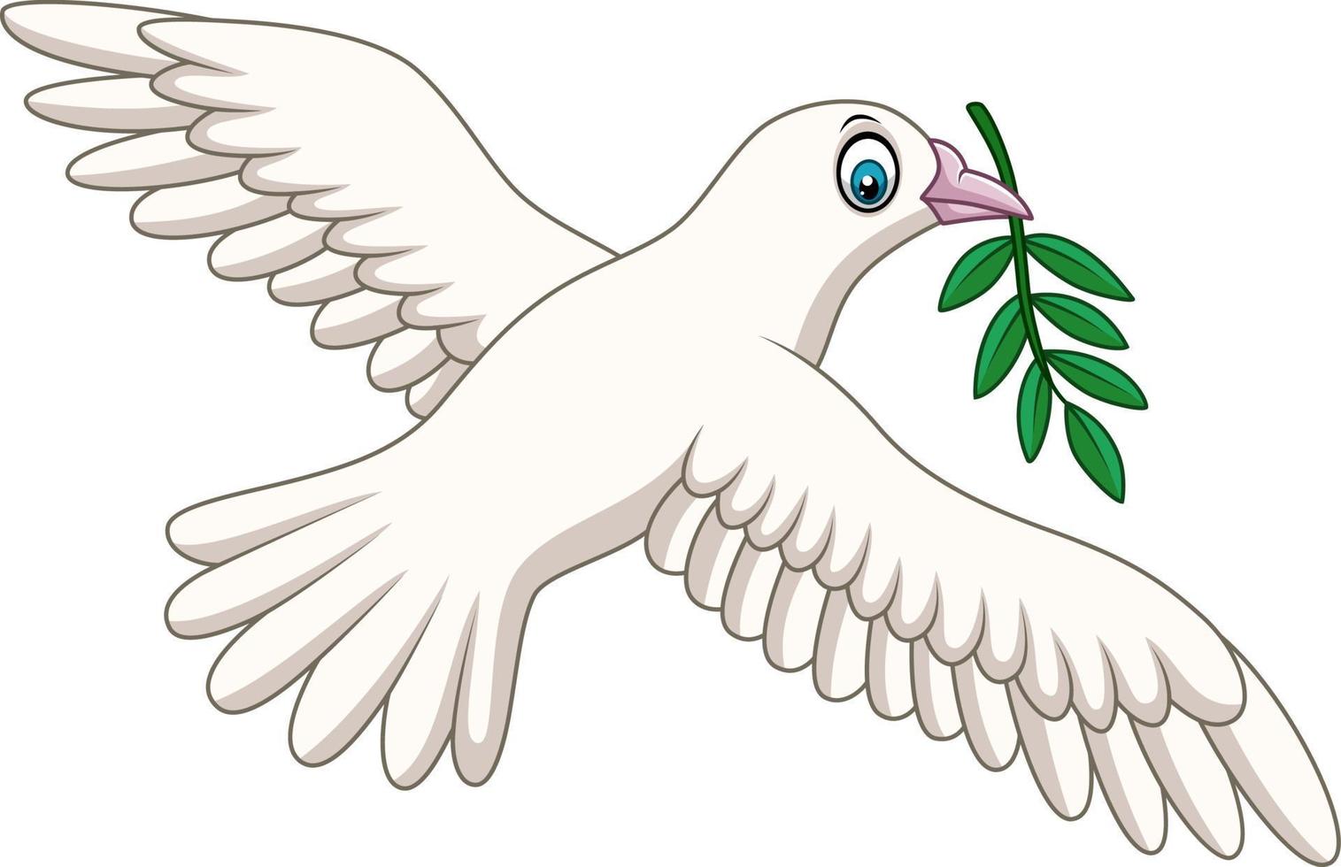 Cartoon dove with an olive branch vector