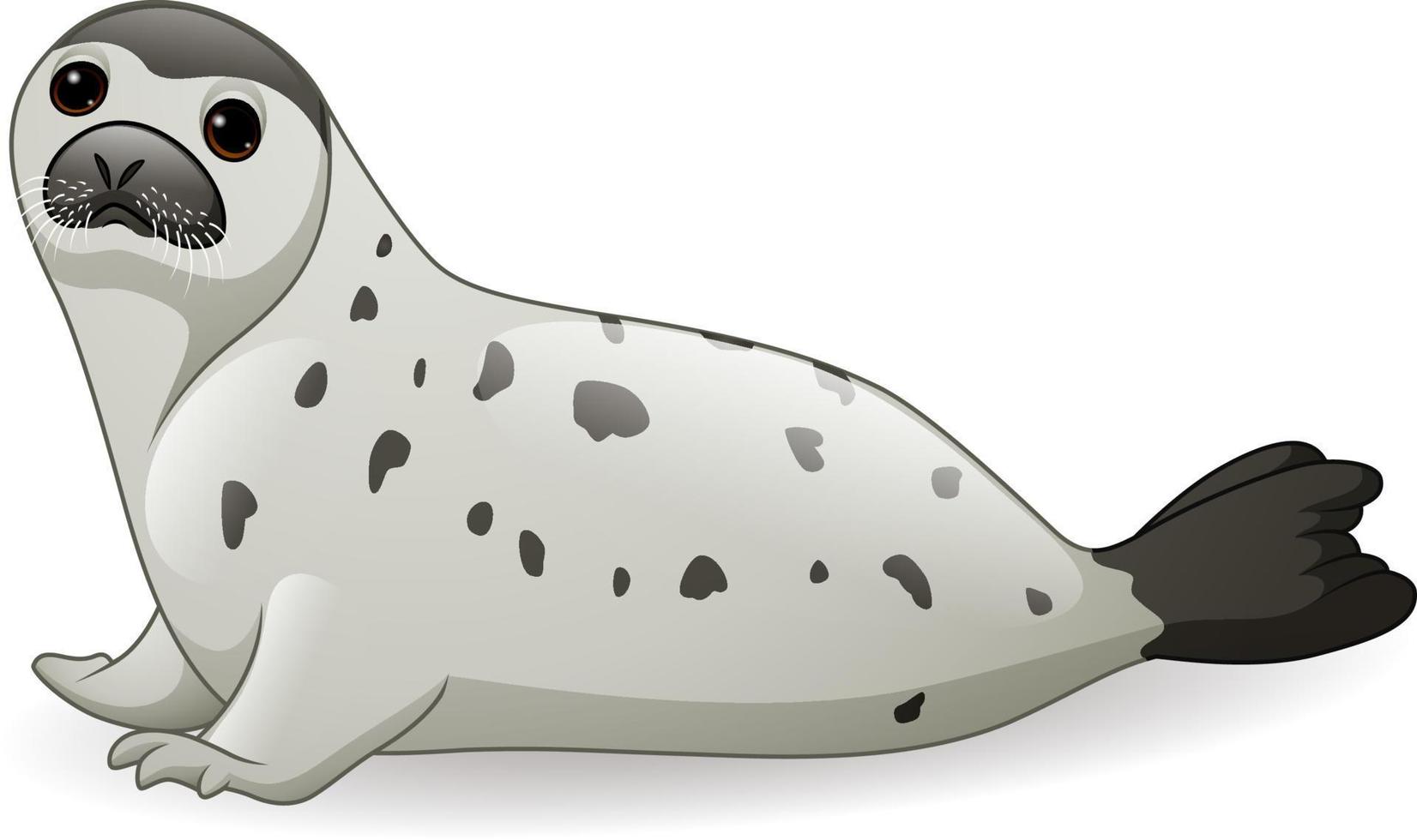 Foca ártica de dibujos animados aislado sobre fondo blanco. vector