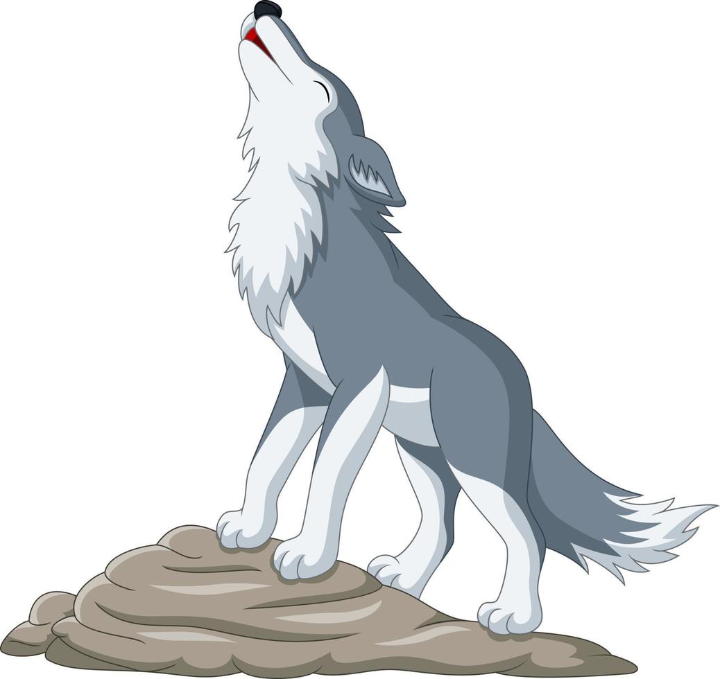 Cartoon wolf howling on the rock vector