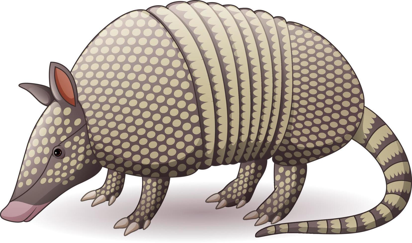 Cartoon armadillo isolated on white background vector