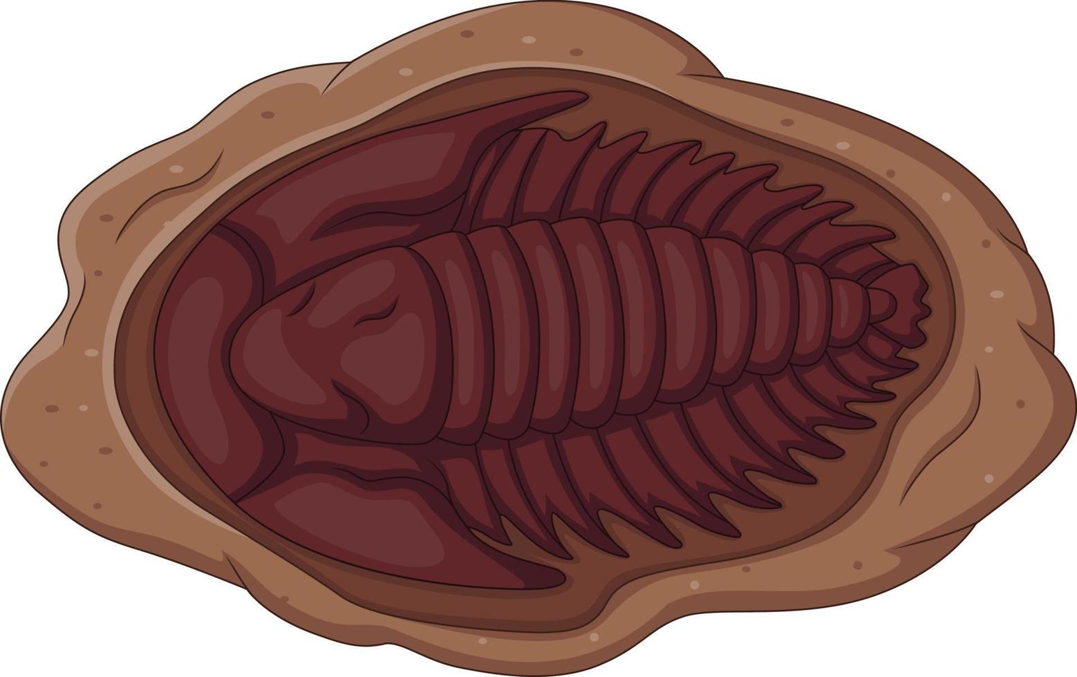 Ilustración de fósil de trilobites sobre un fondo blanco. vector