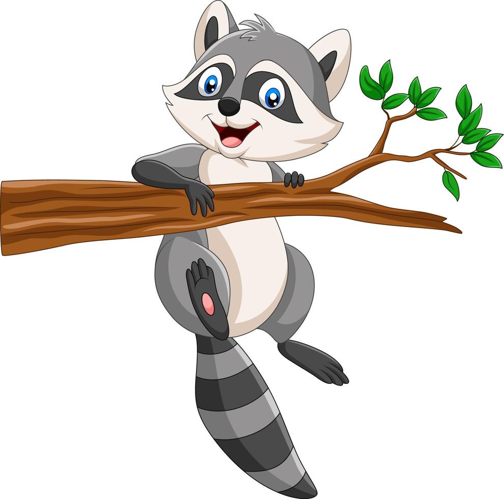 Cartoon Raccoon on the tree branch vector