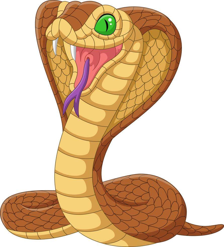 serpiente cobra real de dibujos animados sobre fondo blanco vector