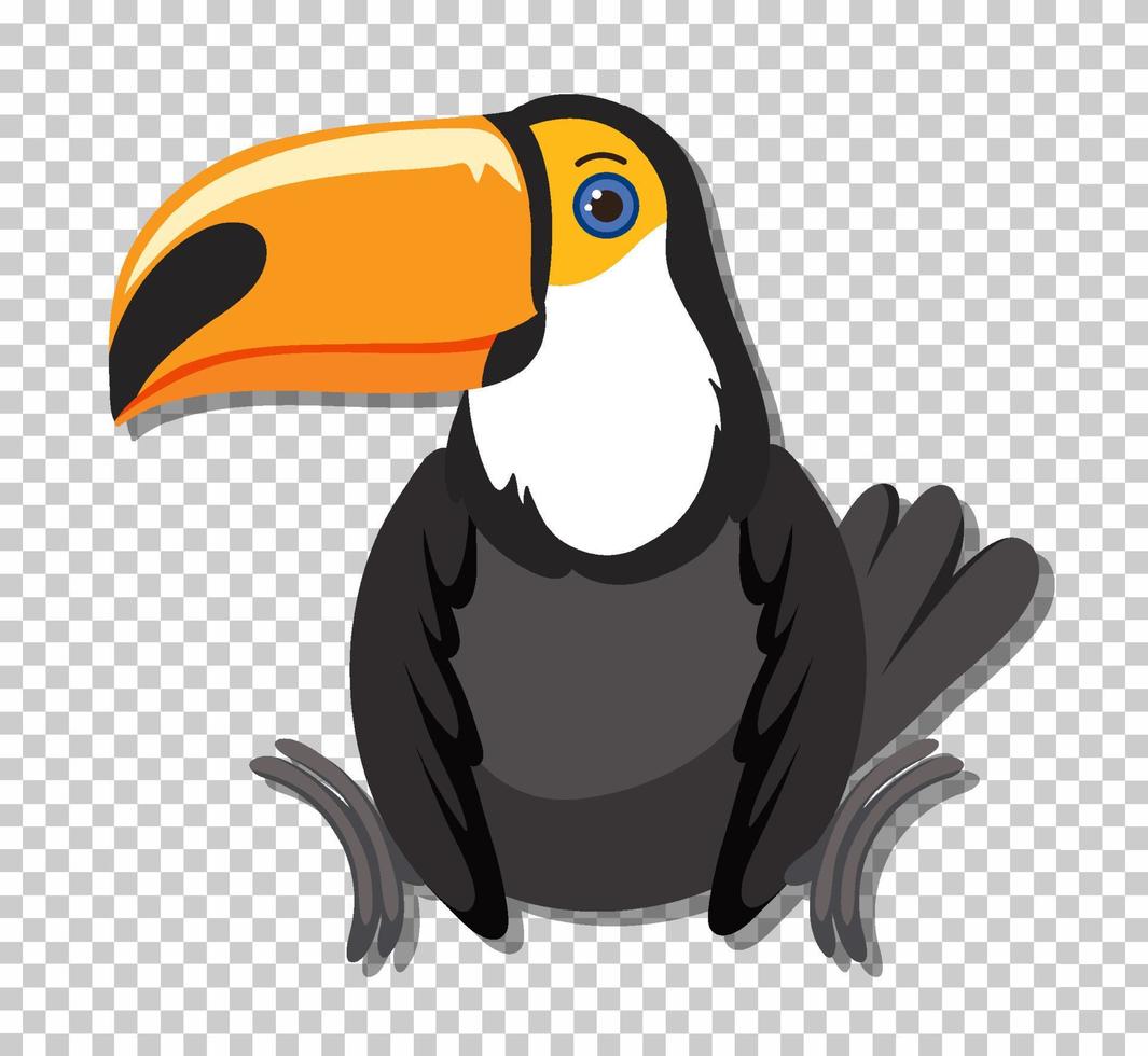 Cute toucan bird in flat cartoon style vector