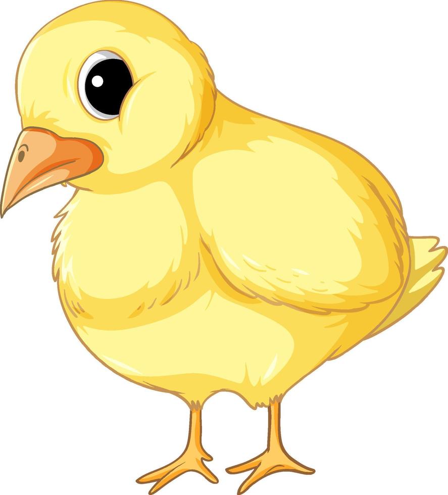 A chick in cartoon style vector