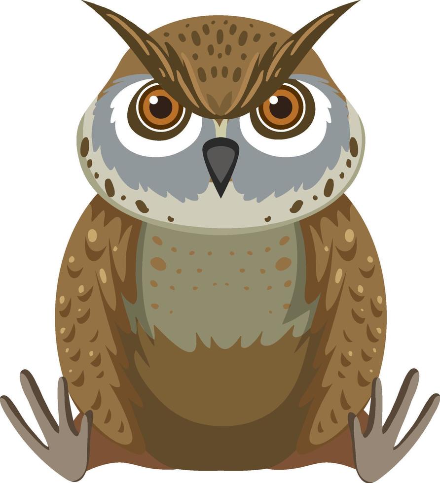 Cute owl in flat style isolated vector