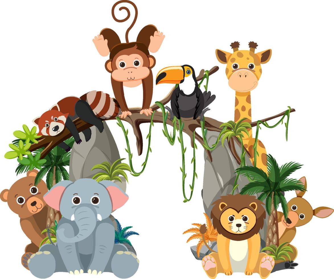 Wild animal group on white background vector