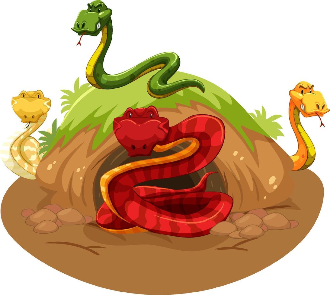 Group of snakes with animal burrow vector