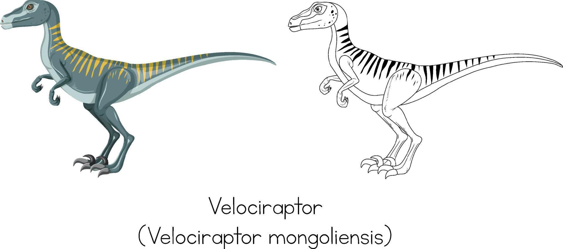 Dinosaur sketching of velociraptor vector