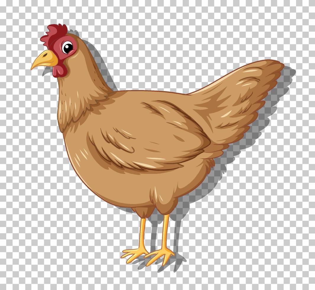 lindo pollo en estilo de dibujos animados plana vector