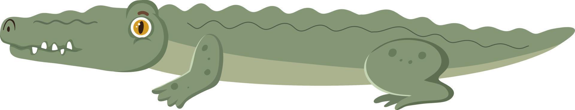 Side of crocodile in flat cartoon style vector