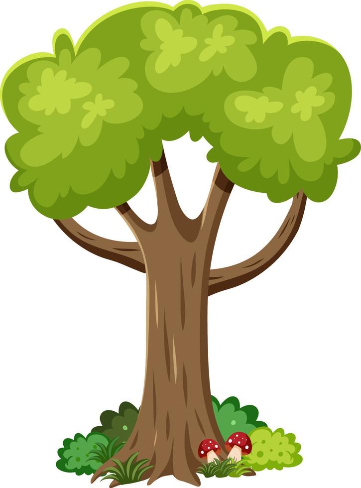 árbol aislado sobre fondo blanco vector