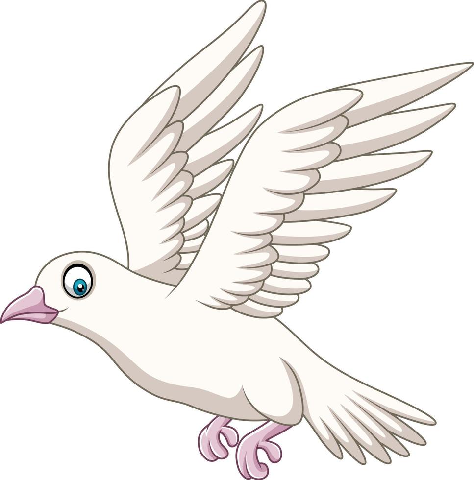 Cartoon happy dove flying vector