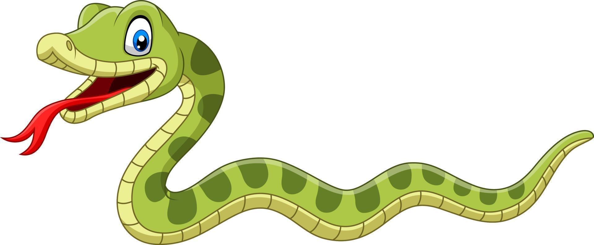 Cute dibujos animados de serpiente verde sobre fondo blanco. vector