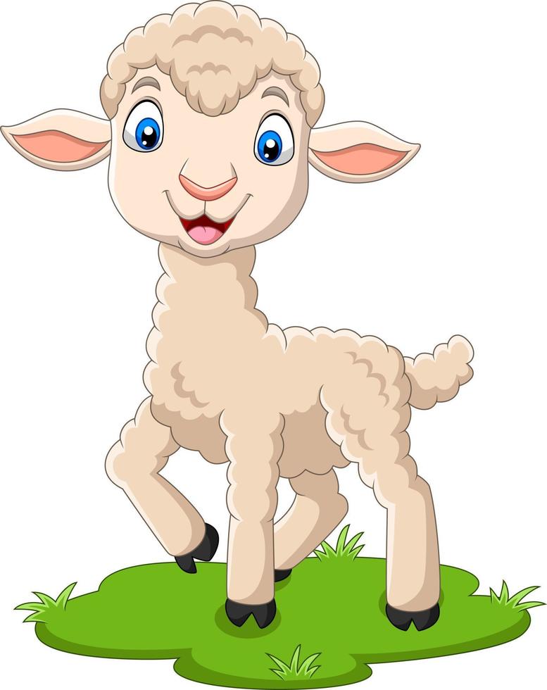 Cartoon happy lamb on the grass vector