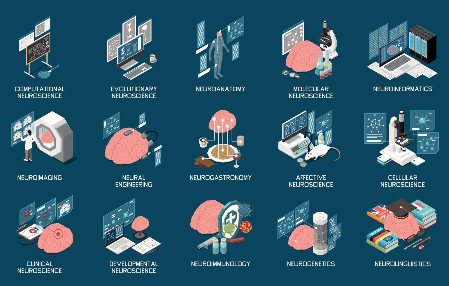 Neuroscience Isometric Set vector