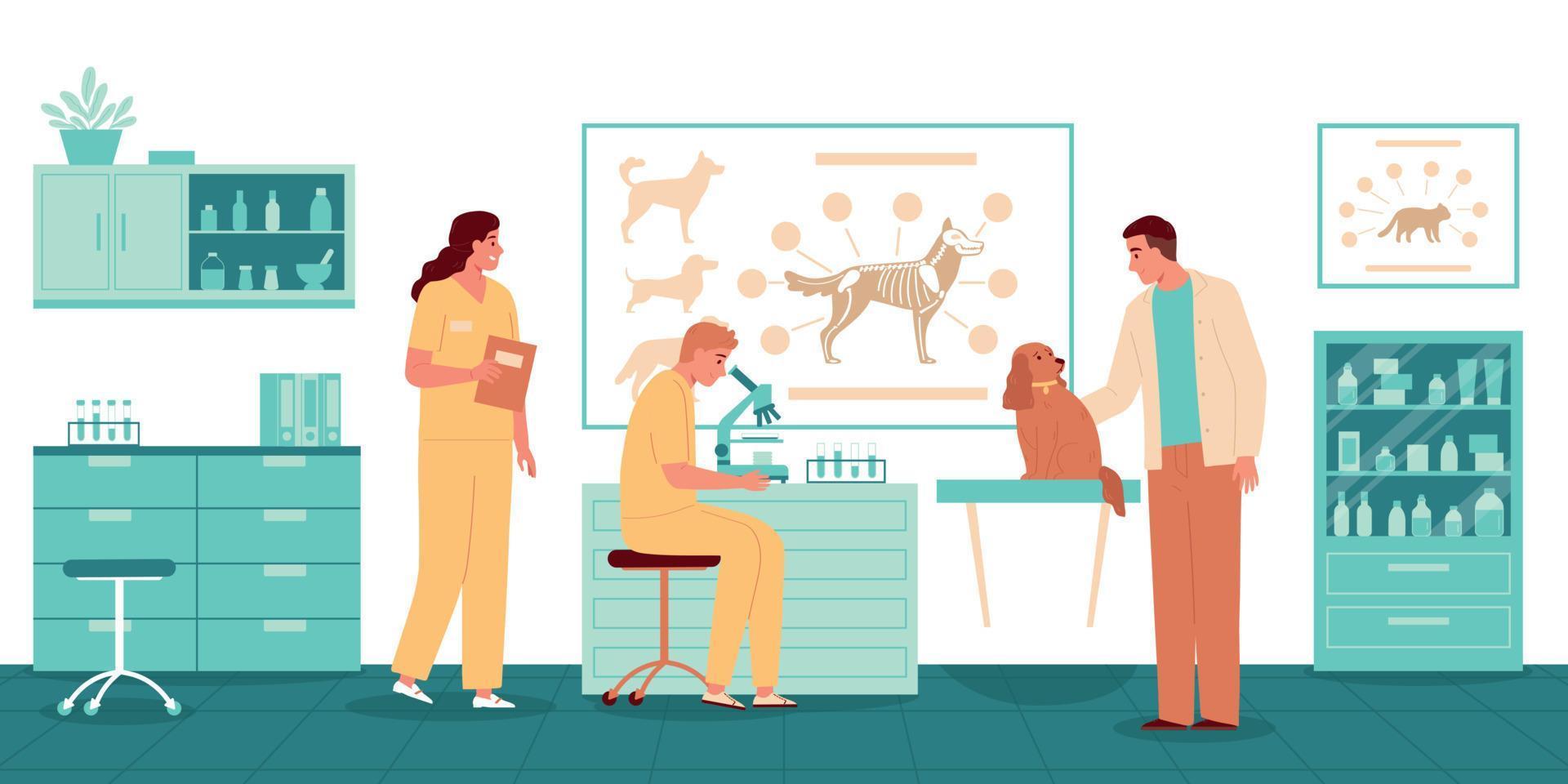 Veterinarian Occupation Vector Illustration