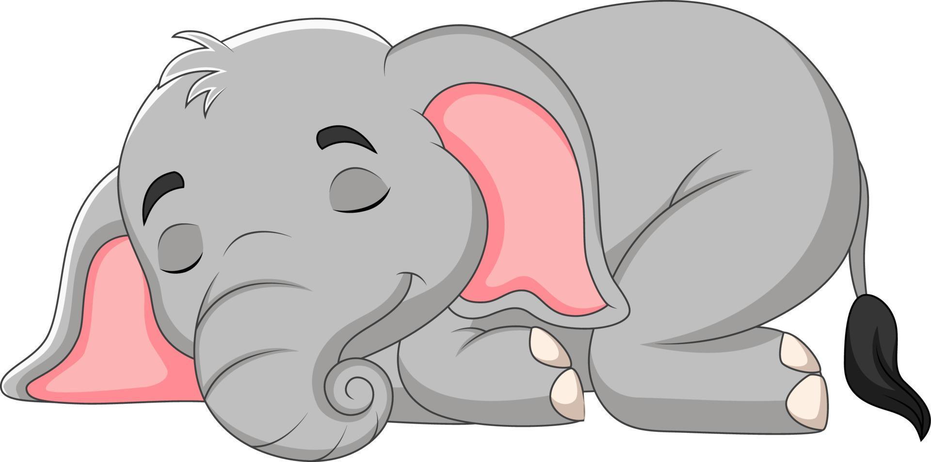 Cartoon baby elephant sleeping vector