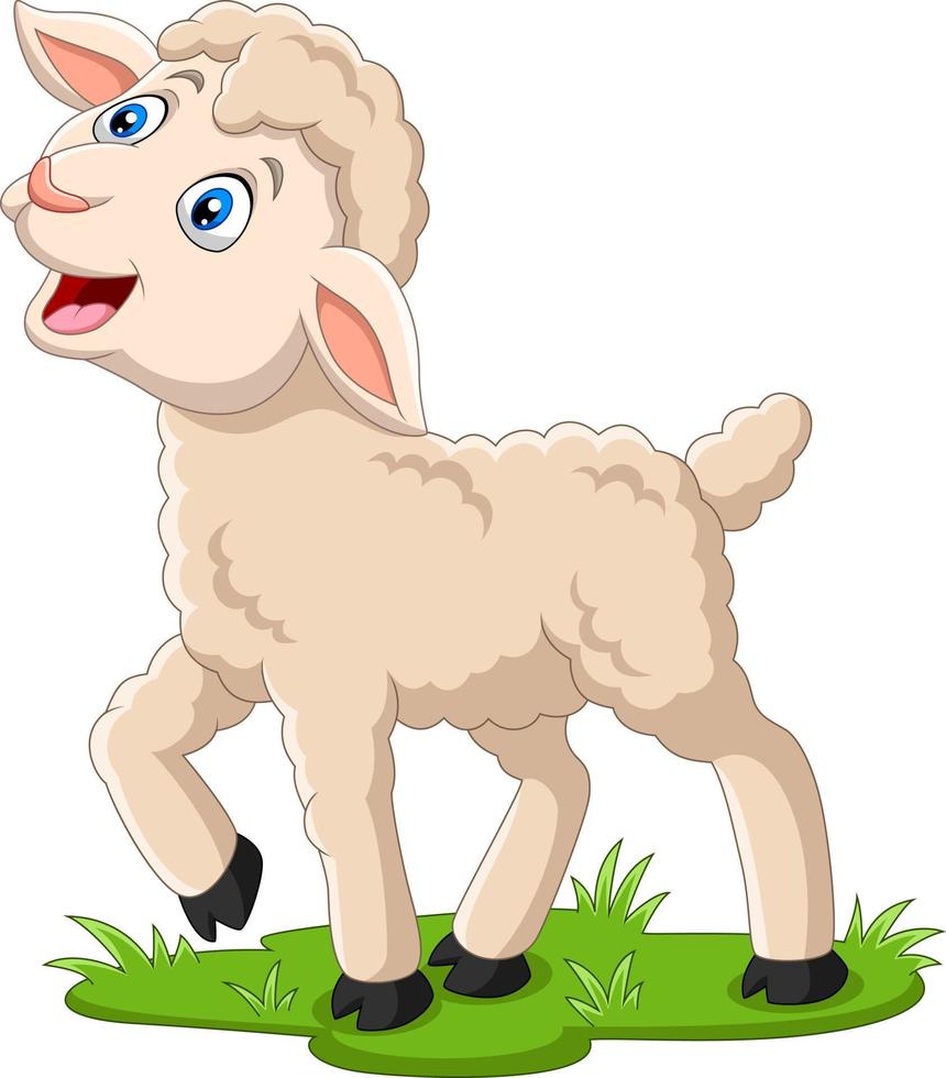 Cartoon happy lamb on the grass vector