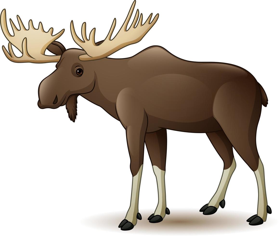 Cartoon moose on white background vector