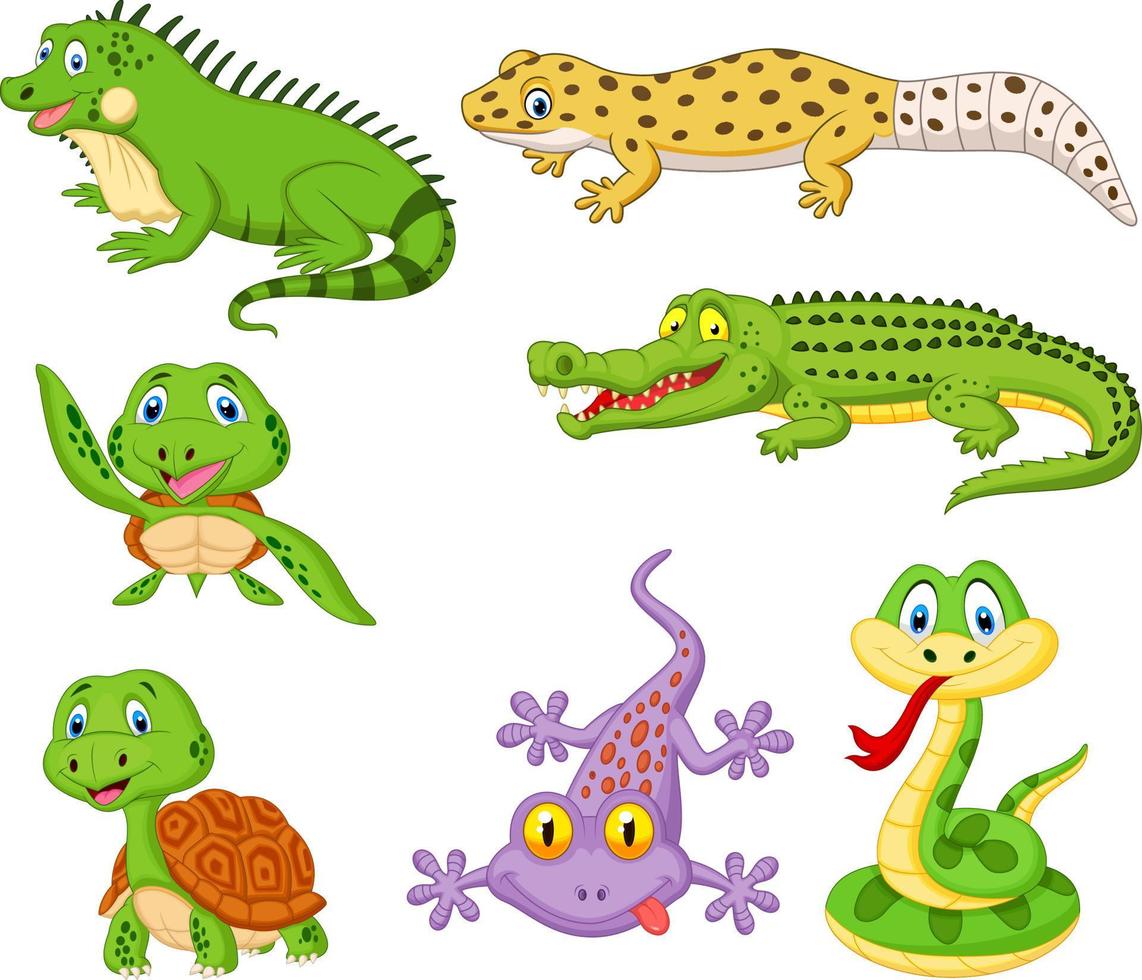 Cartoon reptiles and amphibians collection set vector