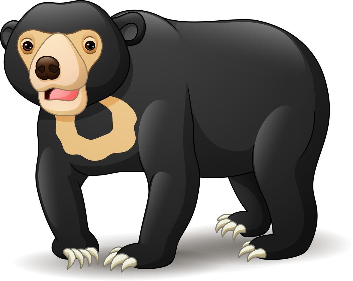 Illustration of sun bear isolated on white background vector