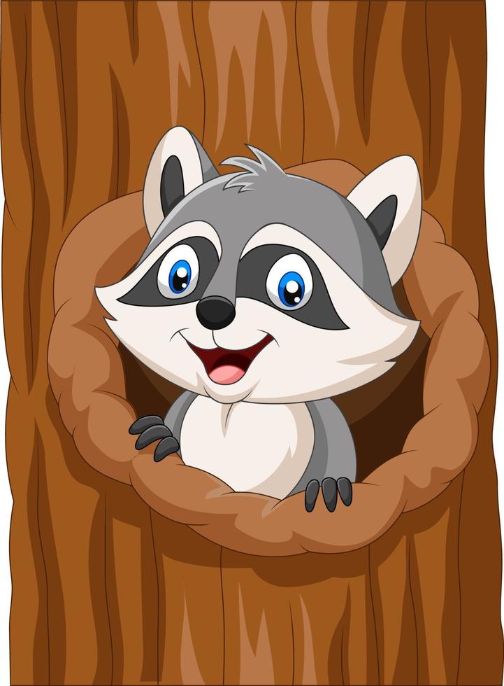 Cartoon raccoon inside hollow of a tree vector