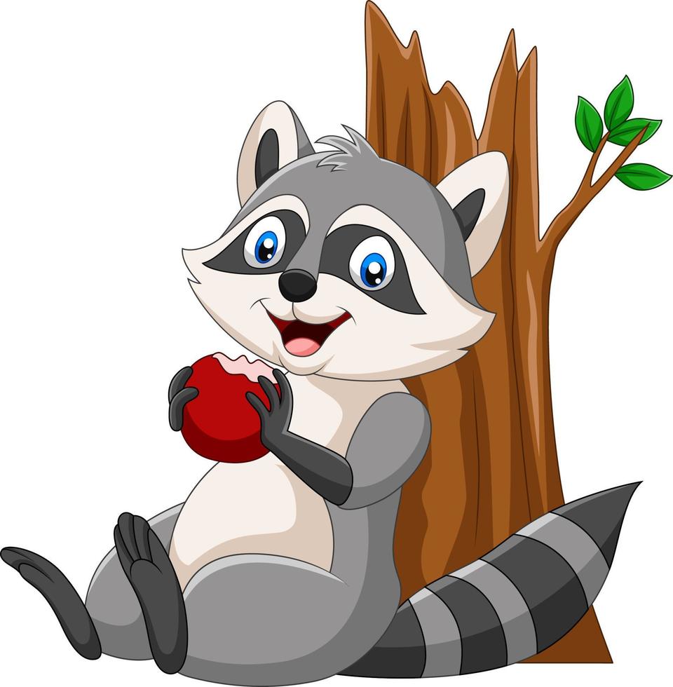 Cartoon raccoon eating a red apple vector