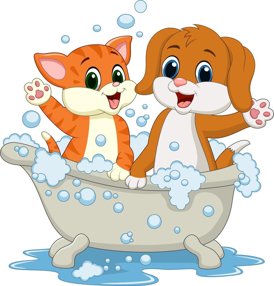 Cat and dog bathing vector