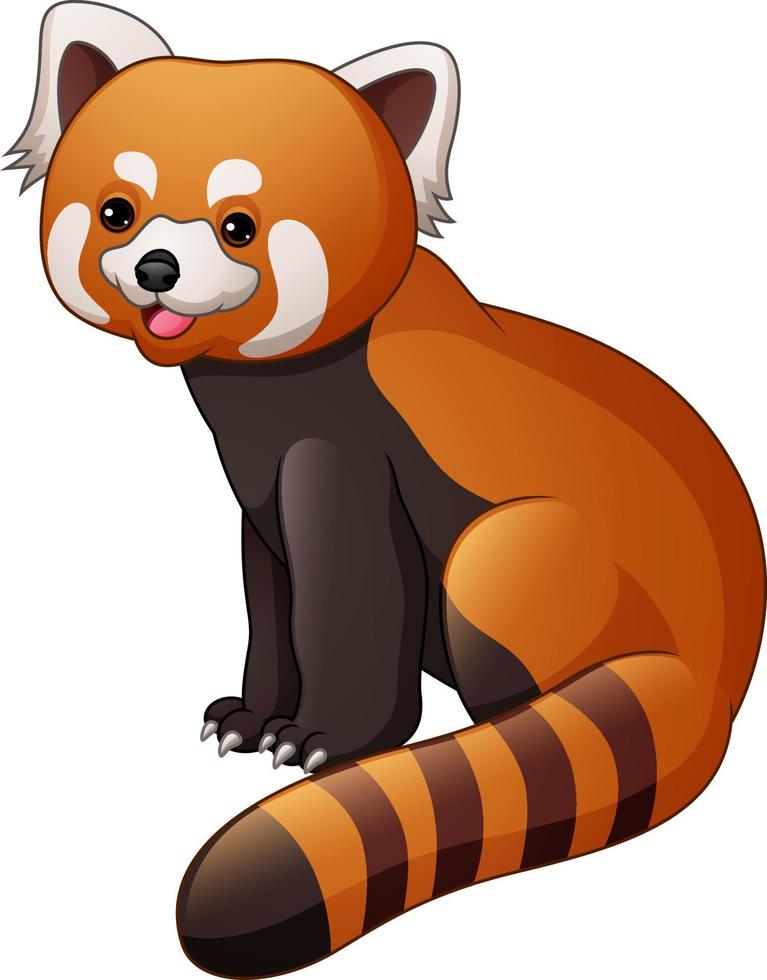 Cartoon red panda isolated on white background vector