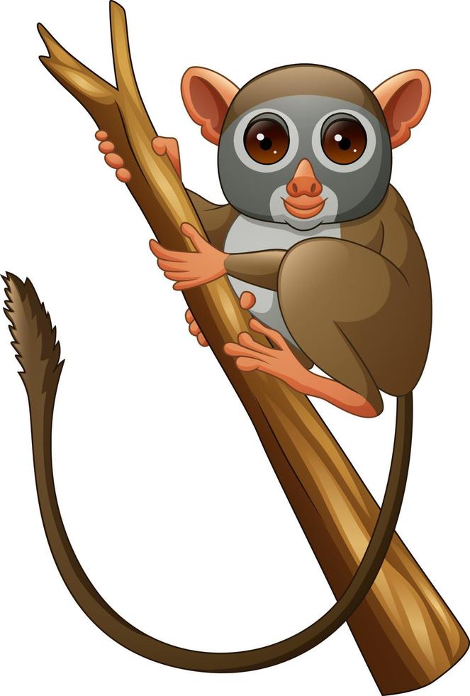 Cartoon tarsier on a tree branch vector