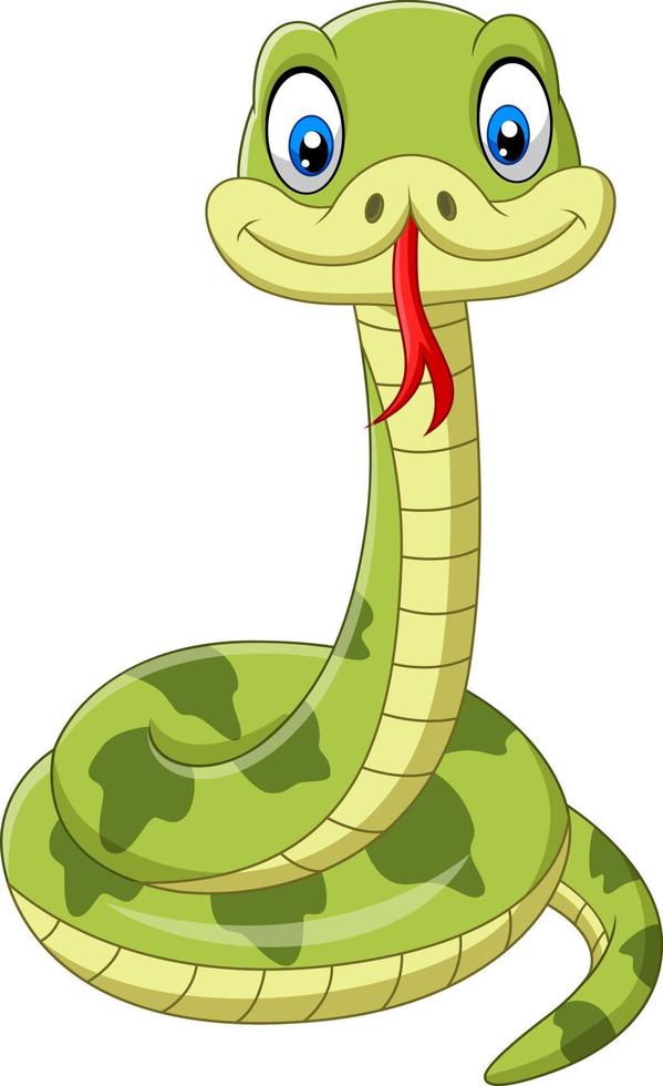 Cute green snake cartoon on white background vector