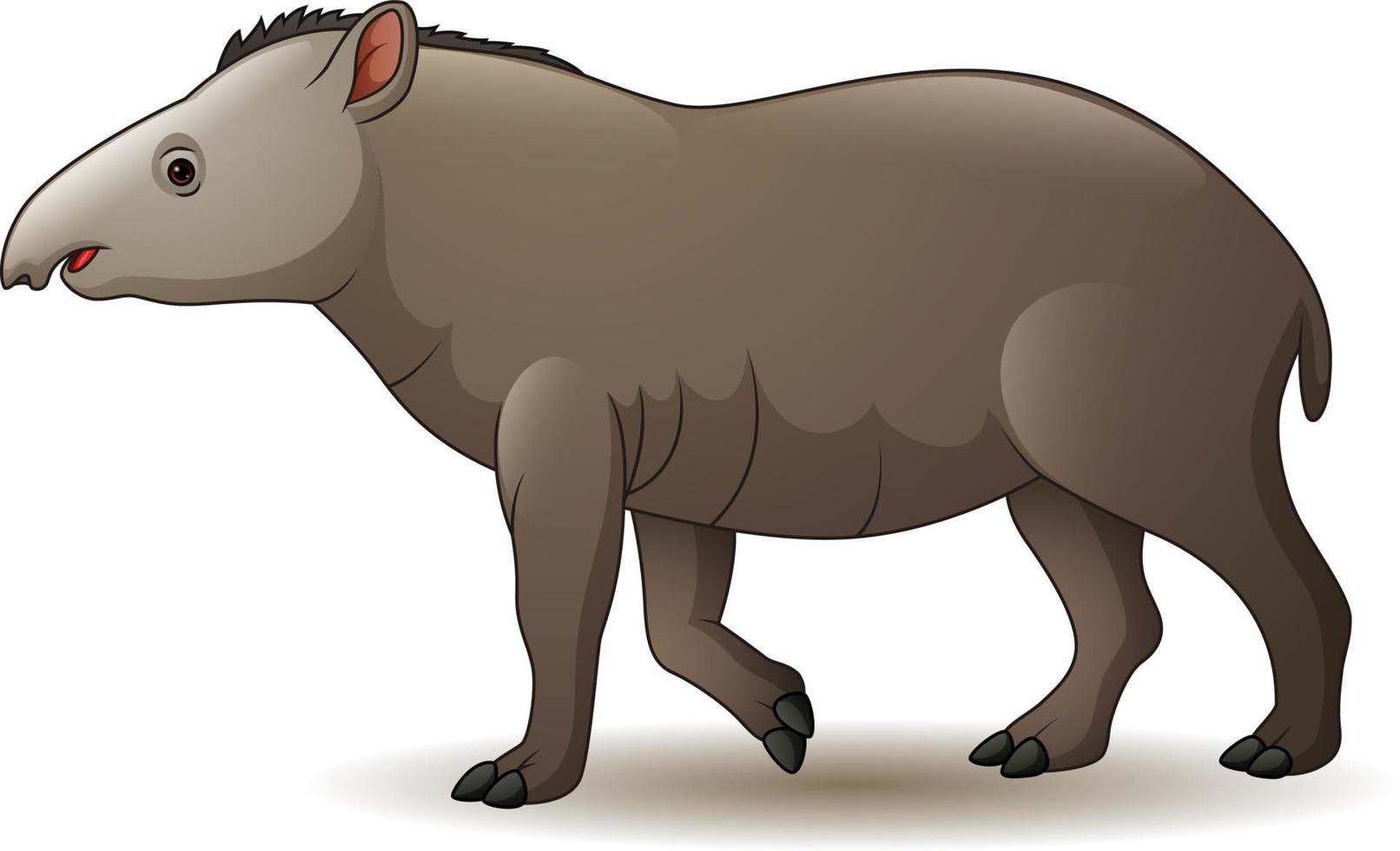 tapir americano de dibujos animados vector