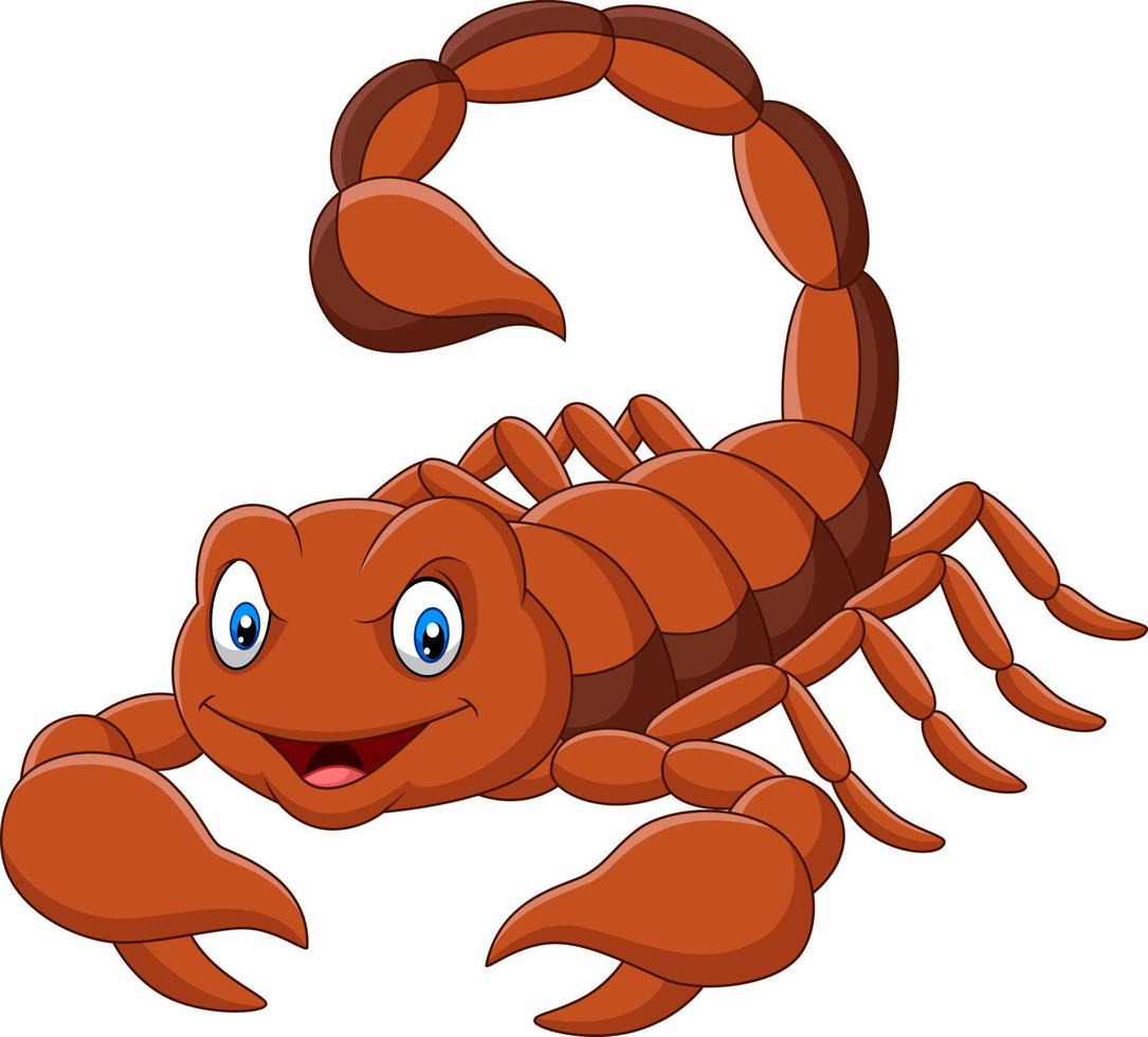 Cartoon scorpion on white background vector